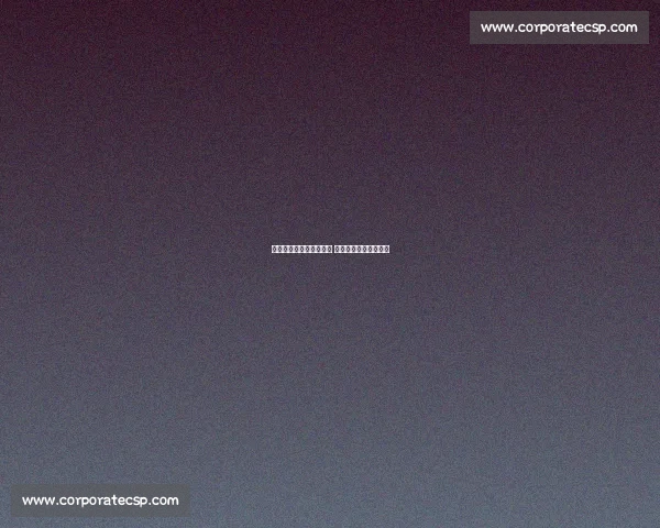 文俊辉巴黎街头武术炫技 中国功夫点燃法式热情